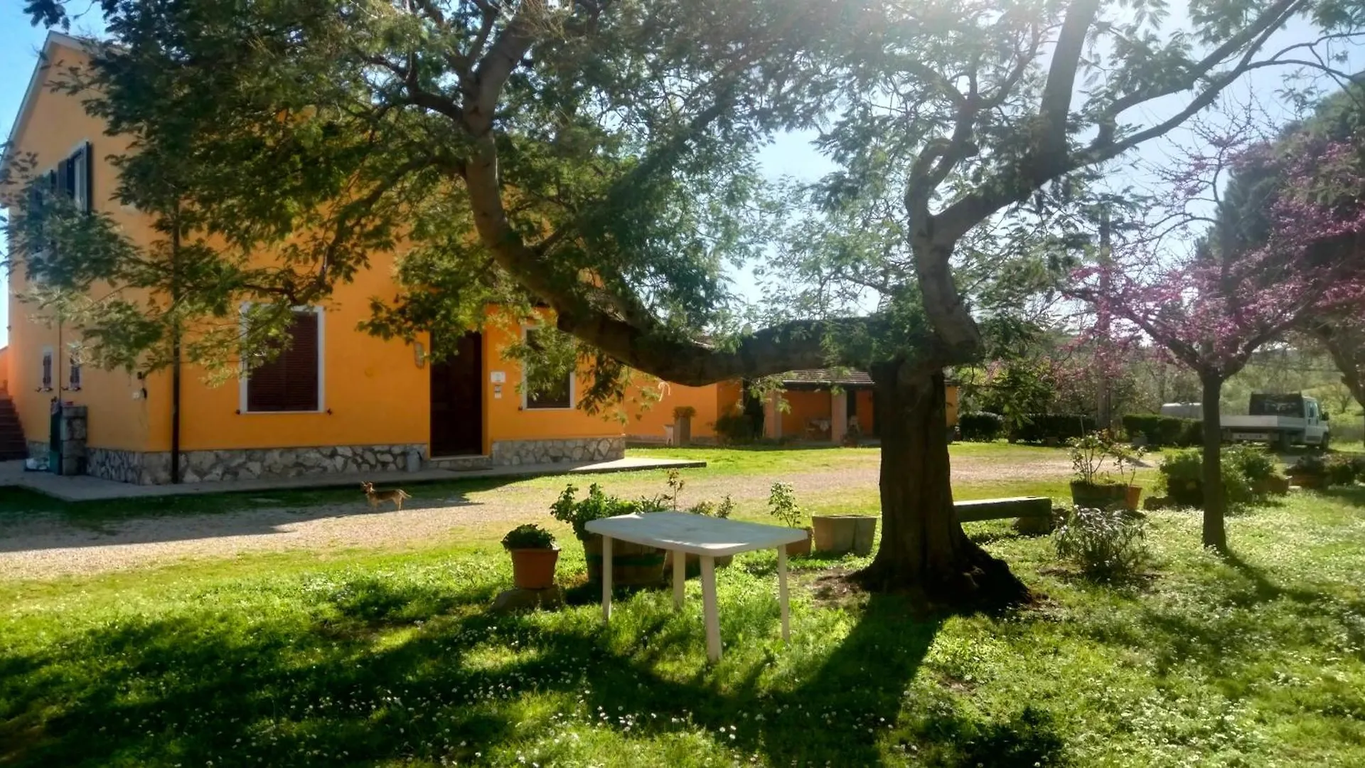 Farma Agriturismo Da Remo Magliano in Toscana