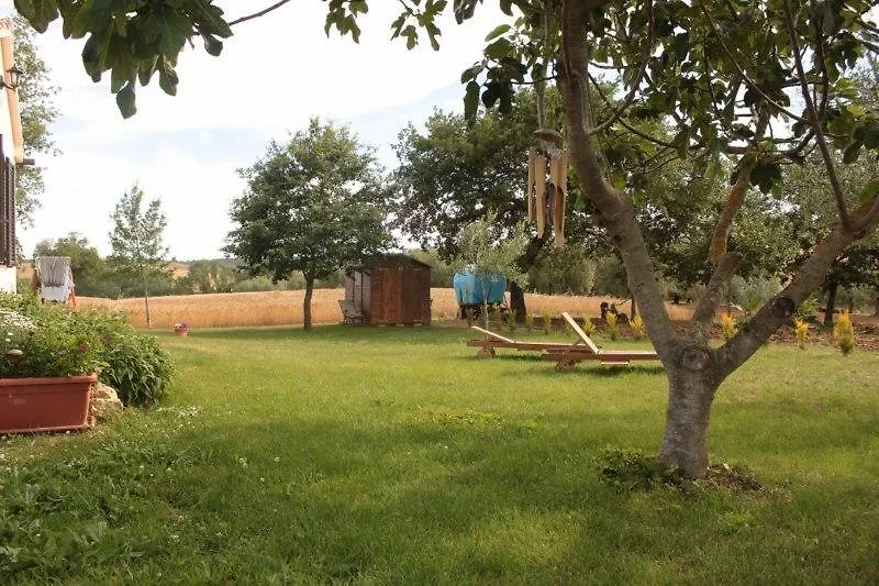 Farm stay Agriturismo Da Remo Magliano in Toscana