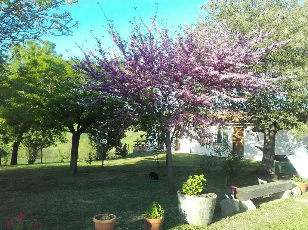 Agriturismo Da Remo Magliano in Toscana 0*,