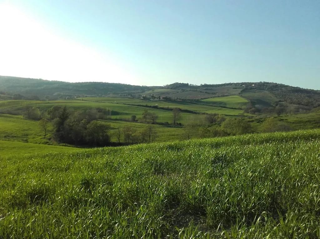 Agriturismo Da Remo Magliano in Toscana Vakantieboerderij